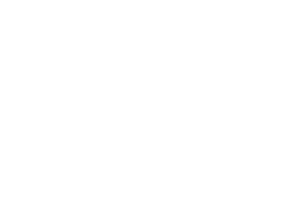 Torch US Winner